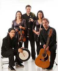 gaitero irlandes chile